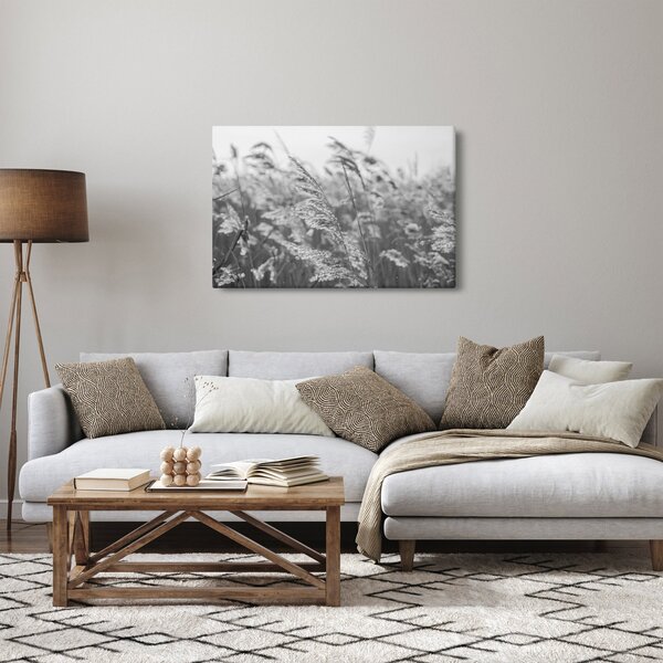 Obraz - Tráva vo vetre (90x60 cm)