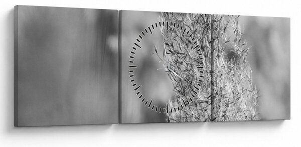 Obraz - Boho pampas grass (s hodinami) (90x30 cm)