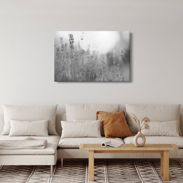 Obraz - Levanduľa (90x60 cm)