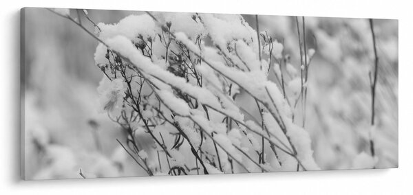 Obraz - Zasnežené vetvy (120x50 cm)