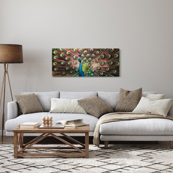 Obraz - Páv (120x50 cm)