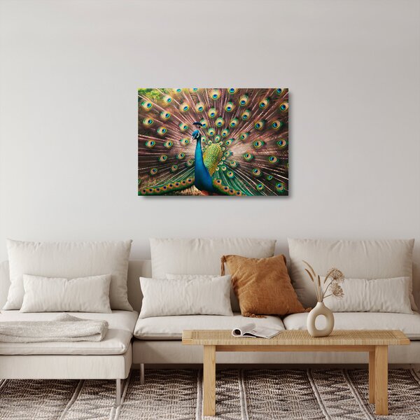 Sklenený obraz - Páv (70x50 cm)