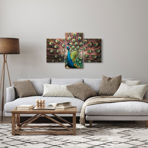Obraz - Páv (90x60 cm)