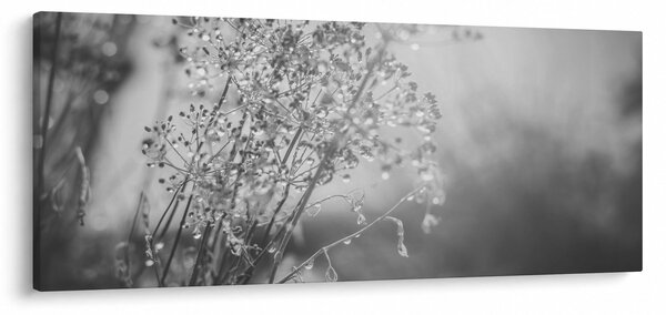 Obraz - Lúka po daždi (120x50 cm)