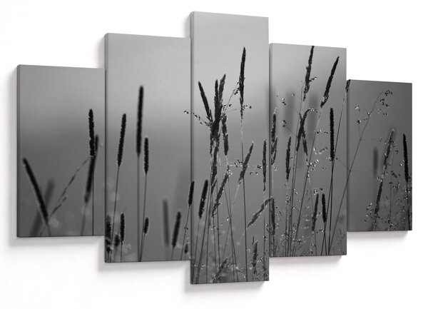 Obraz - Steblá trávy (150x105 cm)