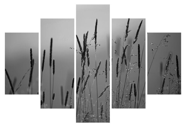 Obraz - Steblá trávy (150x105 cm)