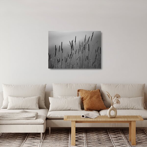 Sklenený obraz - Steblá trávy (70x50 cm)
