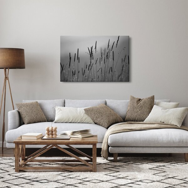 Obraz - Steblá trávy (90x60 cm)