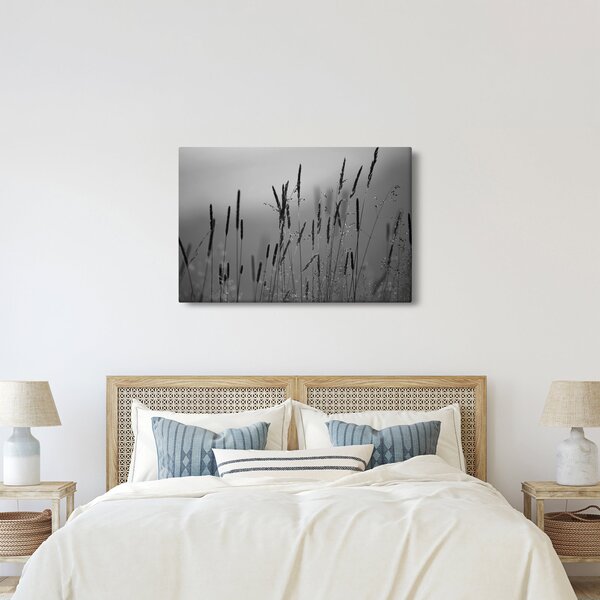 Obraz - Steblá trávy (90x60 cm)