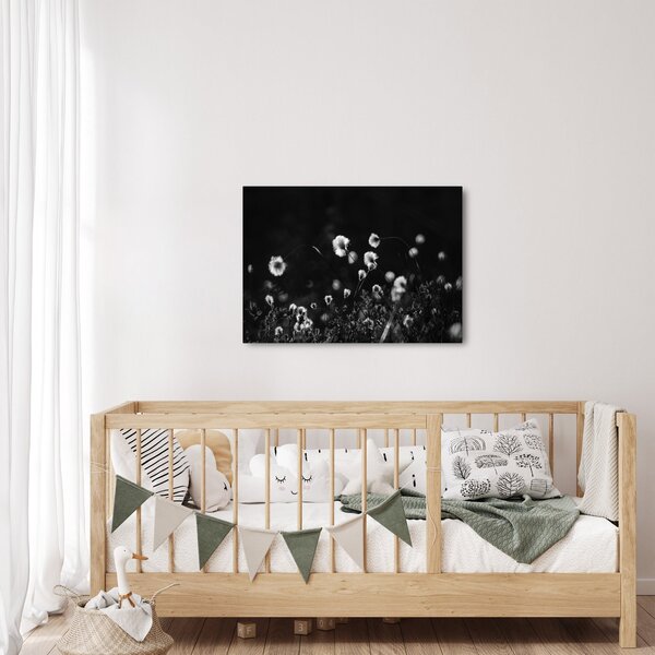 Obraz - Lúka s cottongrass N⁰1 (70x50 cm)