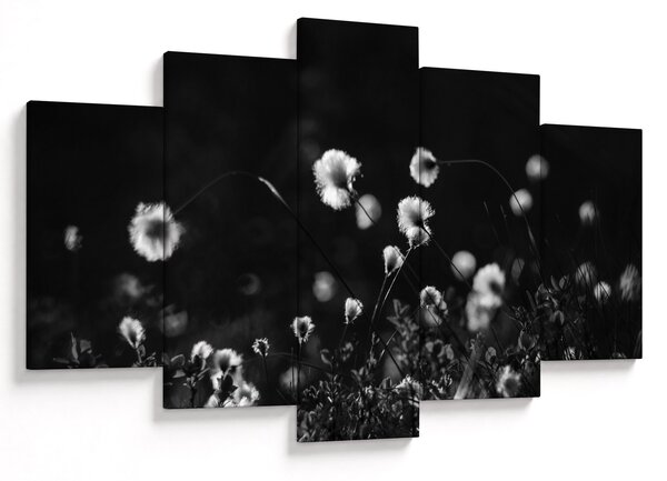 Obraz - Lúka s cottongrass N⁰1 (150x105 cm)