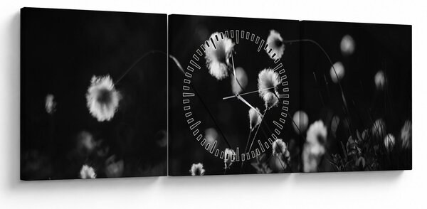Obraz - Lúka s cottongrass N⁰1 (s hodinami) (90x30 cm)