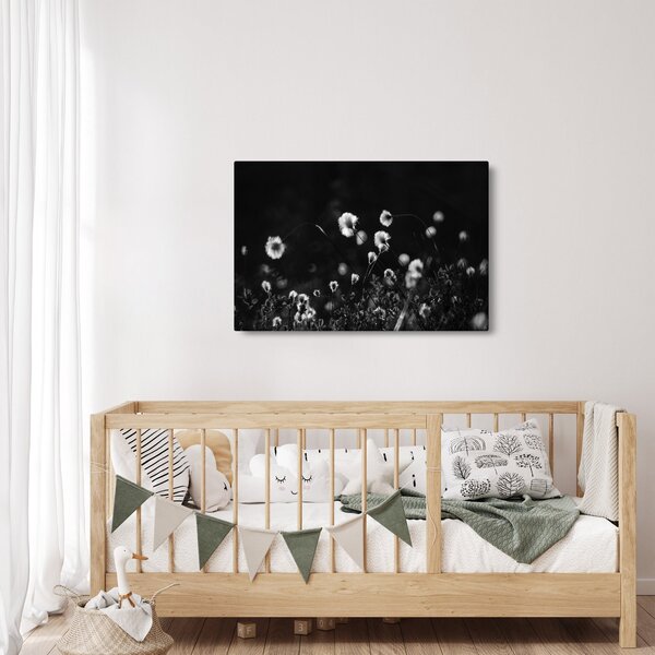 Obraz - Lúka s cottongrass N⁰1 (90x60 cm)