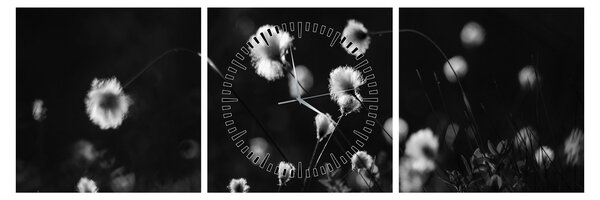 Obraz - Lúka s cottongrass N⁰1 (s hodinami) (90x30 cm)