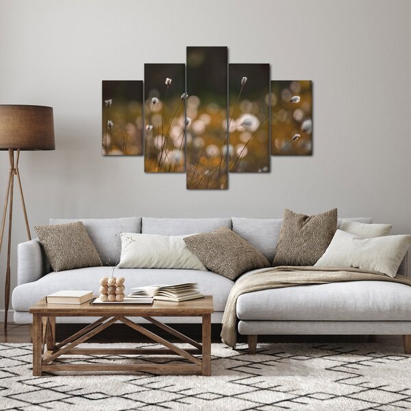 Obraz - Lúka s cottongrass N⁰2 (150x105 cm)