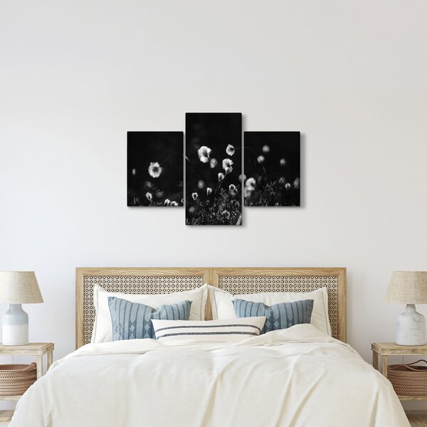 Obraz - Lúka s cottongrass N⁰1 (90x60 cm)