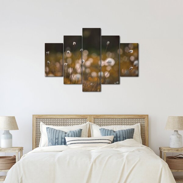Obraz - Lúka s cottongrass N⁰2 (150x105 cm)
