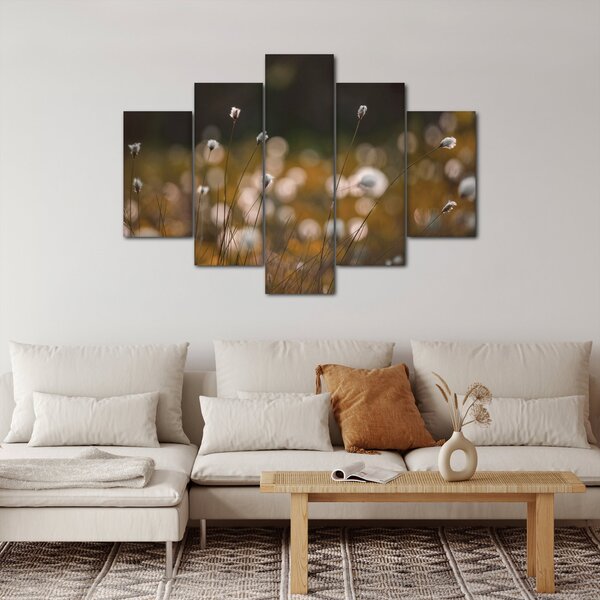 Obraz - Lúka s cottongrass N⁰2 (150x105 cm)