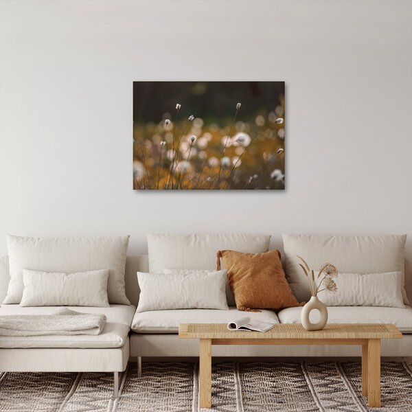 Obraz - Lúka s cottongrass N⁰2 (70x50 cm)