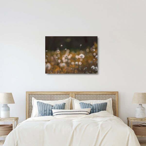 Sklenený obraz - Lúka s cottongrass N⁰2 (70x50 cm)