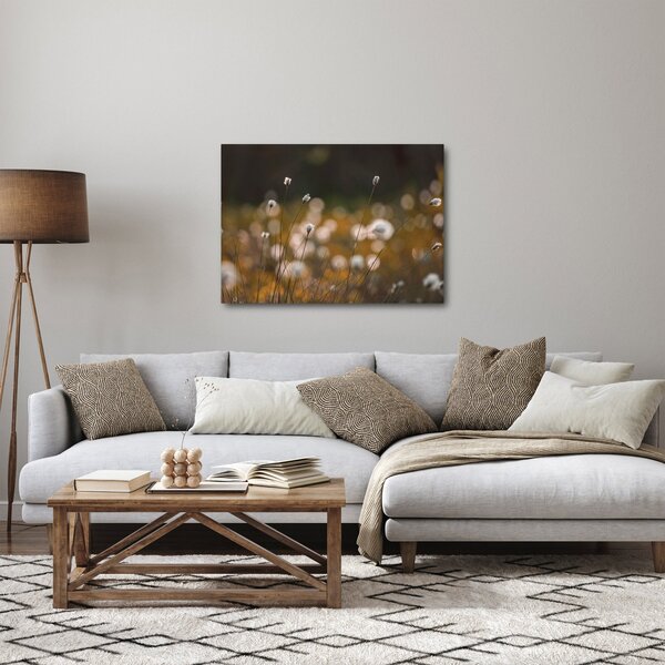 Obraz - Lúka s cottongrass N⁰2 (70x50 cm)