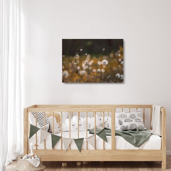 Sklenený obraz - Lúka s cottongrass N⁰2 (70x50 cm)