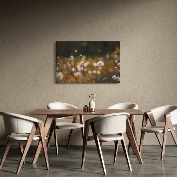 Obraz - Lúka s cottongrass N⁰2 (90x60 cm)