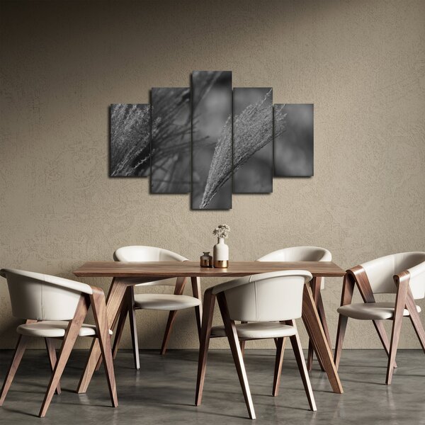 Obraz - Sušená pampová tráva (150x105 cm)