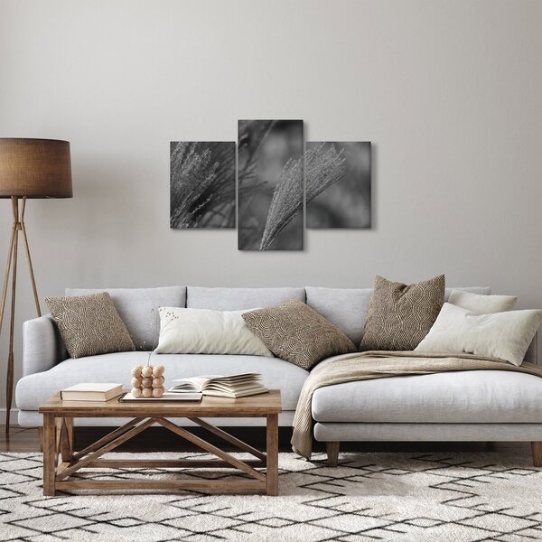 Obraz - Sušená pampová tráva (90x60 cm)