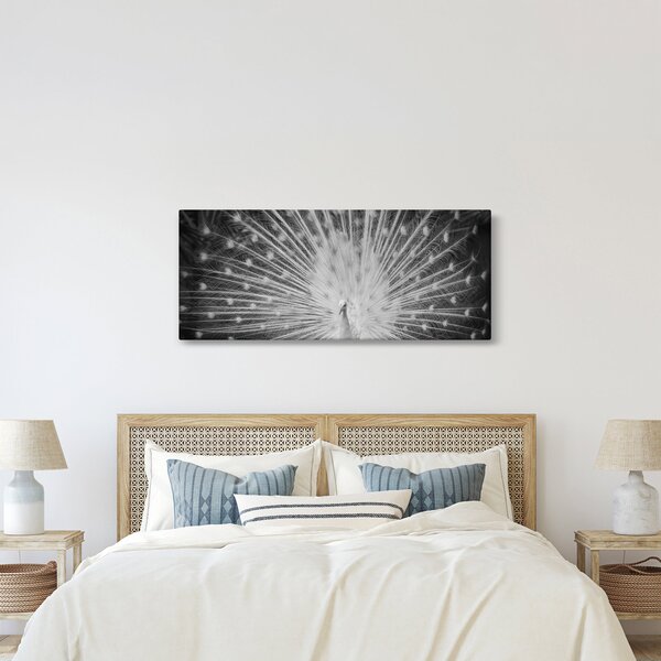 Obraz - Biely páv (120x50 cm)