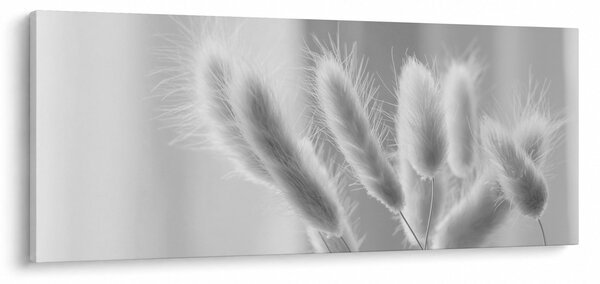 Obraz - Bunny tail grass (120x50 cm)