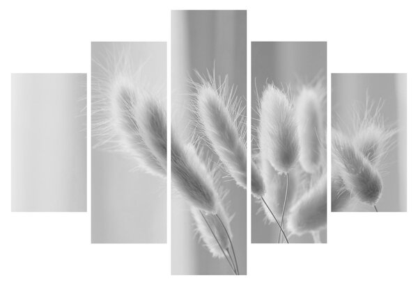 Obraz - Bunny tail grass (150x105 cm)