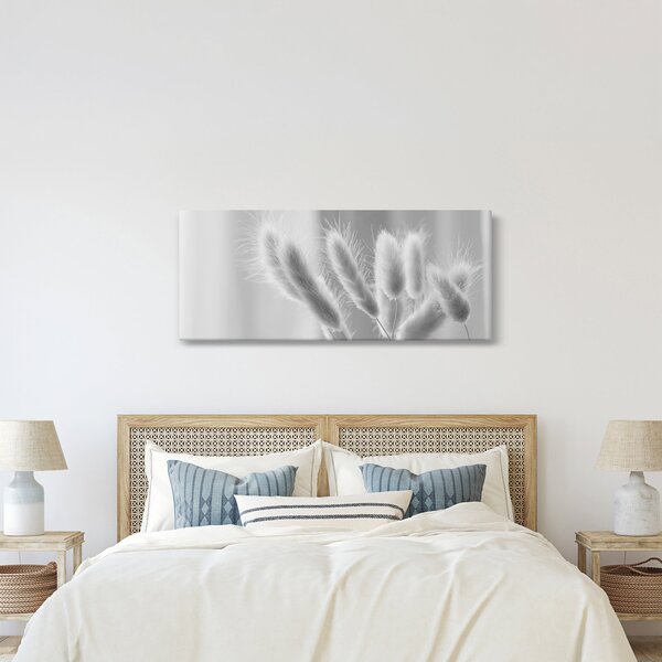 Obraz - Bunny tail grass (120x50 cm)