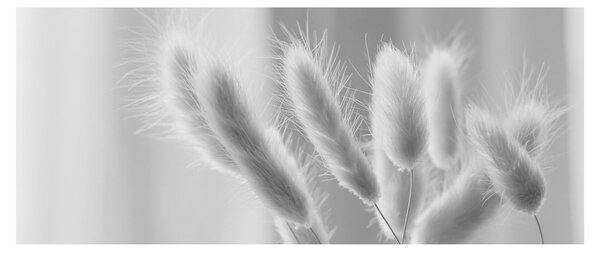 Obraz - Bunny tail grass (120x50 cm)