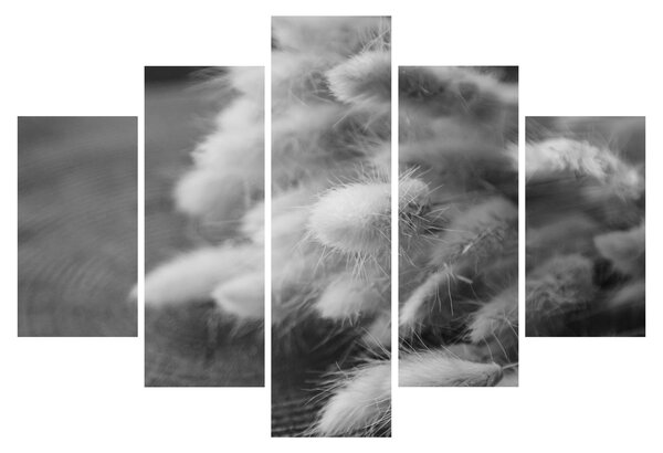 Obraz - bunny tail grass na stole (150x105 cm)