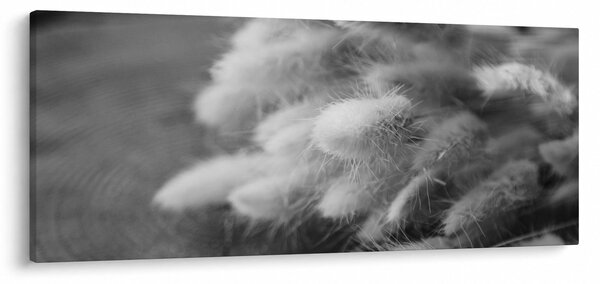 Obraz - bunny tail grass na stole (120x50 cm)