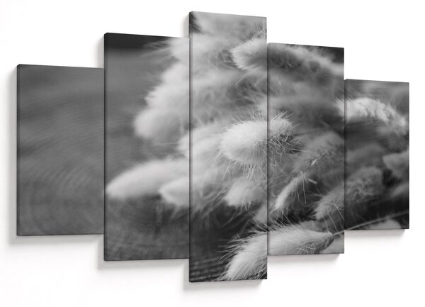 Obraz - bunny tail grass na stole (150x105 cm)