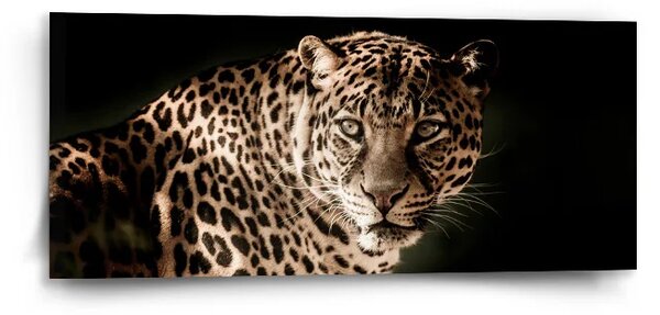 Sablio Obraz Leopard - 110x50 cm
