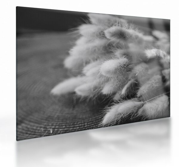 Sklenený obraz - bunny tail grass na stole (70x50 cm)