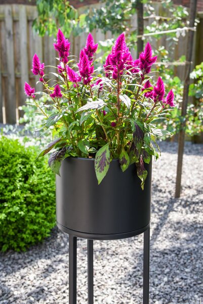 Kvetináč na vysokých nohách ELEVATE ROUND, oceľ, výška 79 cm, čierny mat, outlet