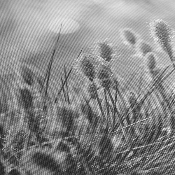 Obraz - Béžová soft grass N⁰1 (150x105 cm)