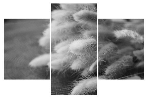 Obraz - bunny tail grass na stole (90x60 cm)