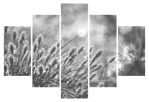 Obraz - Béžová soft grass N⁰1 (150x105 cm)