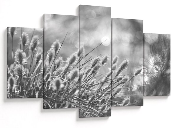 Obraz - Béžová soft grass N⁰1 (150x105 cm)