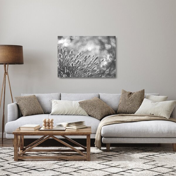 Sklenený obraz - Béžová soft grass N⁰1 (70x50 cm)