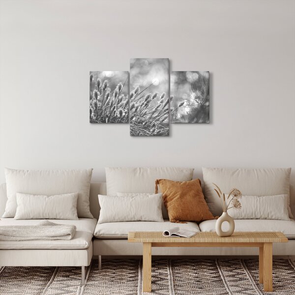 Obraz - Béžová soft grass N⁰1 (90x60 cm)