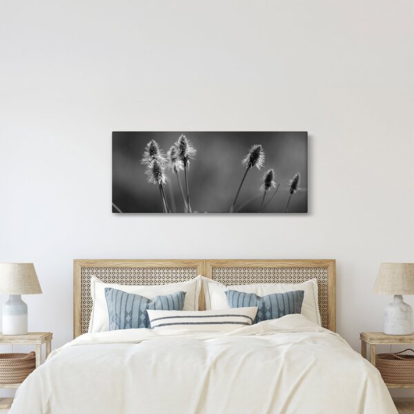 Obraz - Béžová soft grass N⁰2 (120x50 cm)