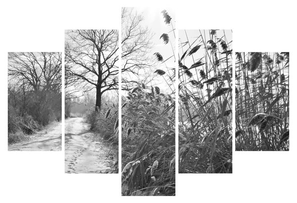 Obraz - Pole v zime (150x105 cm)