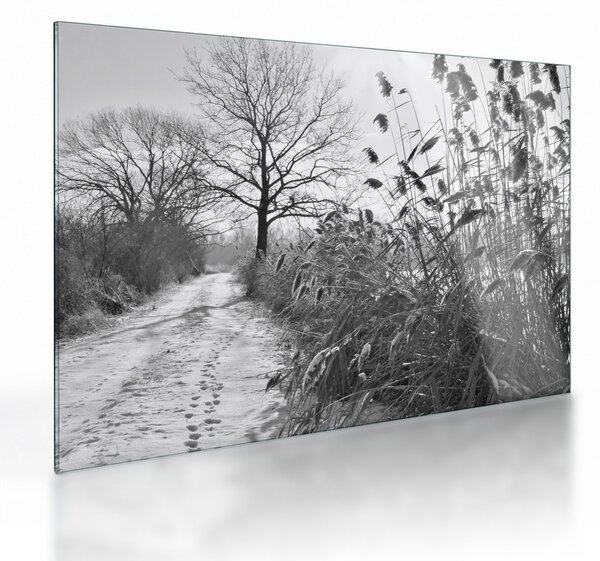 Sklenený obraz - Pole v zime (70x50 cm)