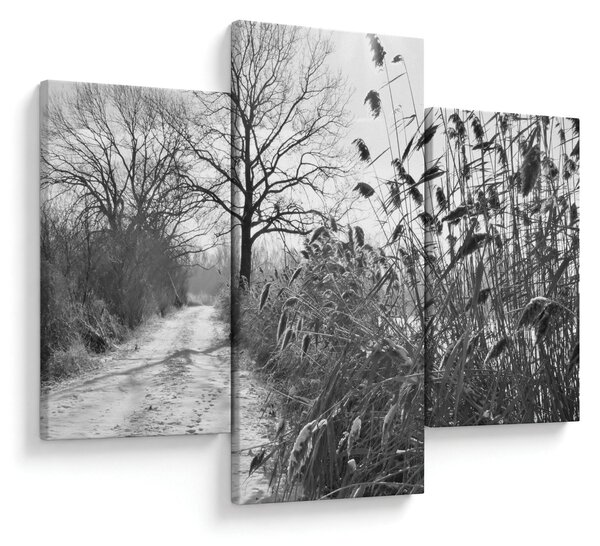 Obraz - Pole v zime (90x60 cm)